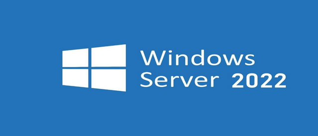 Windows Server 2022 v21H2 (20348.1311)